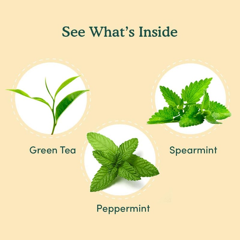 VAHDAM, Mint Green Tea Bags (30 Count) 100% Pure Leaf
