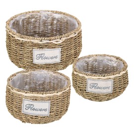Rifuli # Straw Rope Woven Pineapple Basket Woven Butterfly Orchid Pot Gardening Woven Fleshy Pineapple Pot (B, One Size)