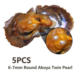 LGSY Akoya Twins Pearl Oysters - 5PC Set, Saltwater Cultured Pearls (6-7mm, White/Pink/Purple/Black)