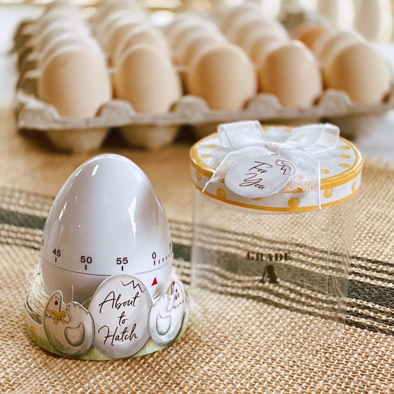 Kate Aspen About to Hatch Kitchen Egg Timer in Showcase