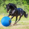Herding Ball for Dogs- 25" Dog Herding Ball for Dogs/Horse,