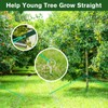 A Tree Support kit for straightening Trees, which Includes Supporting