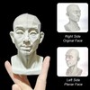 Generic Head Model for Artists, 2in1 Original & Planar Face,