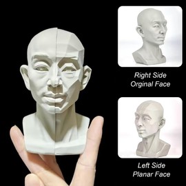 Generic Head Model for Artists, 2in1 Original & Planar Face, for Learning Planes and Light Details, Small Mannequin Manikin Head for Art Drawing Skecthing Study (Large(13.5cm))
