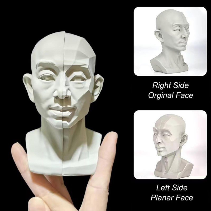 Generic Head Model for Artists, 2in1 Original & Planar Face,