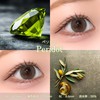 Colorcon TOPARDS Topaz Rino Ishihara Sashi One Day 10 Pieces