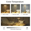 Hapfish Rechargeable Cordless Table Lamps, 5000mAh Battery Operated Lamp