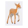 'Young Deer' Temporary Tattoo - Water Resistant, Skin-Safe, Non-Toxic Transfer