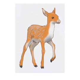 'Young Deer' Temporary Tattoo - Water Resistant, Skin-Safe, Non-Toxic Transfer (TO00085159)