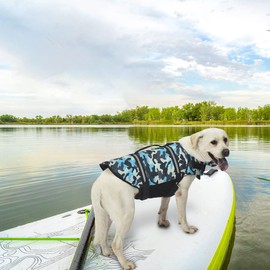 Doglay Dog Life Jacket, Dog Life Vest for Swimming Boating, Adjustable Puppy Life Jacket with Reflective Stripes, Superior Buoyancy Dog Swimming Vest for Small Medium and Large Dogs