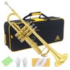 Trumpet Instrument,Band & Orchestra Musical Instruments for Beginners,With trumpets case,Mouthpiece,Cloth
