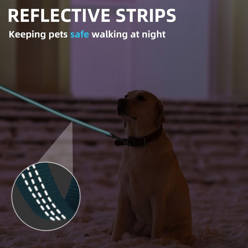 PUPTECK Reflective Dog Leash with Comfortable Padded Handle Durable Nylon