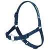 SENSE-ation No-Pull Dog Harness (Black, Mini)