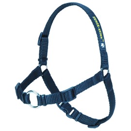 SENSE-ation No-Pull Dog Harness (Black, Mini)