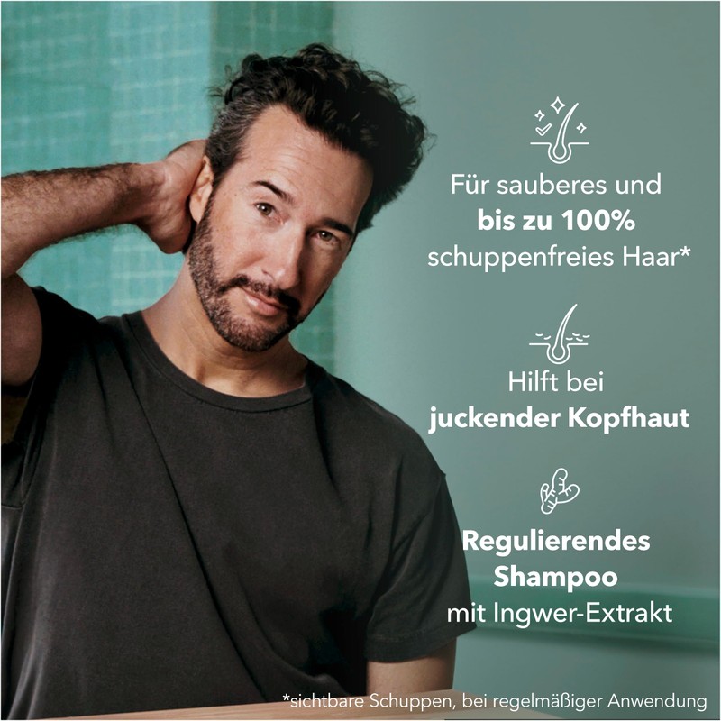 Schauma Anti-dandruff shampoo intensive (400 ml), hair shampoo fights strong