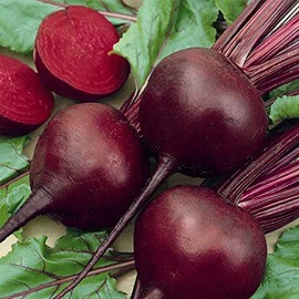 Organic Detroit Dark Red Beet Seeds - 1 OZ ~1,500 Seeds - Non-GMO, Open Pollinated, Heirloom, Vegetable Gardening & Micro Greens Seed