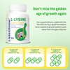 Listen Snow Lysine Growth Capsules Height Increase Maximizer with Calcium