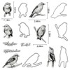 Birds Cutting Dies and Clear Stamps Animals Clear Stamps with