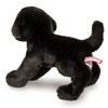 Douglas Brewster Black Lab Dog Plush Stuffed Animal