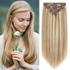 MY-LADY Clip in Hair Extensions Human Hair Thick 160g 22