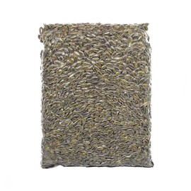 Nut Grocer Australia Organic Pumpkin Seeds (Pepitas) 500 g