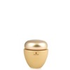 Anna Lotan Liquid Gold Solid Gold 30ml