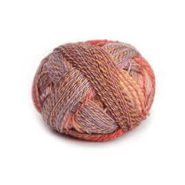 Zauberball Crazy 2546 Warm Botanical Garden Schoppel Sock/Fingering Yarn