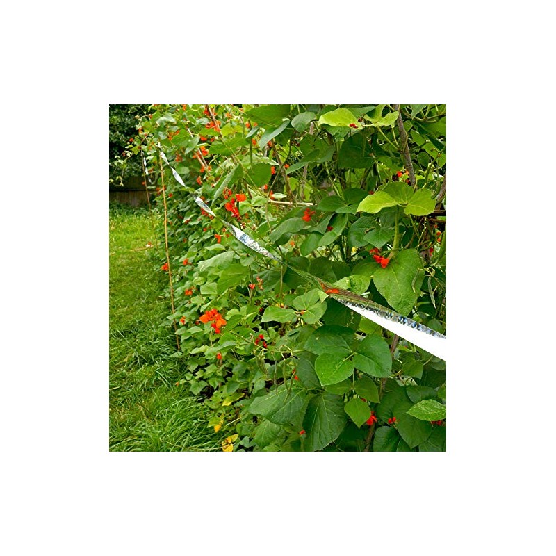 Stay Off Bird Scarer tape - 50 metres - Deterrent