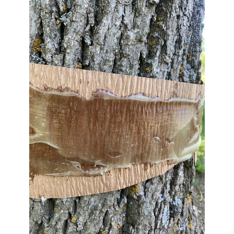 TREEKOTE Tree Banding Gum Sticky Crawling Barrier - 16oz All