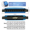 East top Harmonica Blues Harmonica 10 Holes C Tone 10