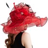 Women Elegant Organza Derby Hat Wide Brim Sun Hats for