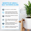 FLORA GUARD Plant Watering Globes, 2-PCS Glass Self Watering Planter