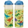 Skater SDPC4P-A Stainless Steel Water Bottle with Straw, One Push