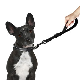 Giecooh Short Dog Leash, Reflective Traffic Leash with Padded Handle, 2 FT Nylon Training Leashes for Small Meidum Large Dogs, Black