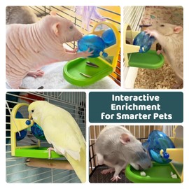 Rat Toys for Pet Rats, Enrichment Toy Cage Cccessories, Bird Foraging Toys Interactive Intelligence Growth Puzzle Games, Treat Dispensing Slow Feeder for Rats Cage, Bird Foraging Toy for Parakeet