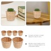 ABOOFAN 6pcs Mini Woven, Miniature Flower Woodchip Easter Egg Small