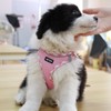 AMTOR Small Dog Harness with Leash Set, No Escape Easy