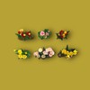 Dolls House Garden Flowers Pack, 1:12 Scale Miniatures, Daisies, Daffodils,