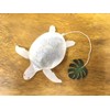 Sea Turtle Tea Bag Butterfly Jasmine Tea Pack of 4