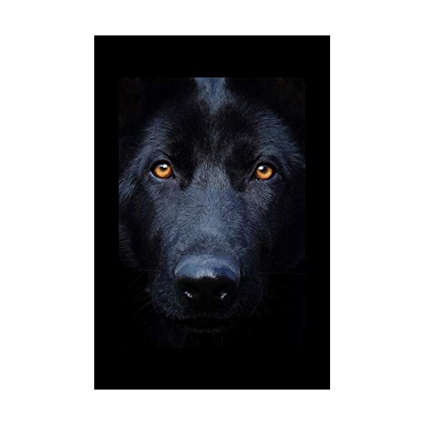 Personal notebook: black paged secret notebook diary for white and