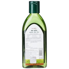 Patanjali Amla Hair Oil (100 Ml)