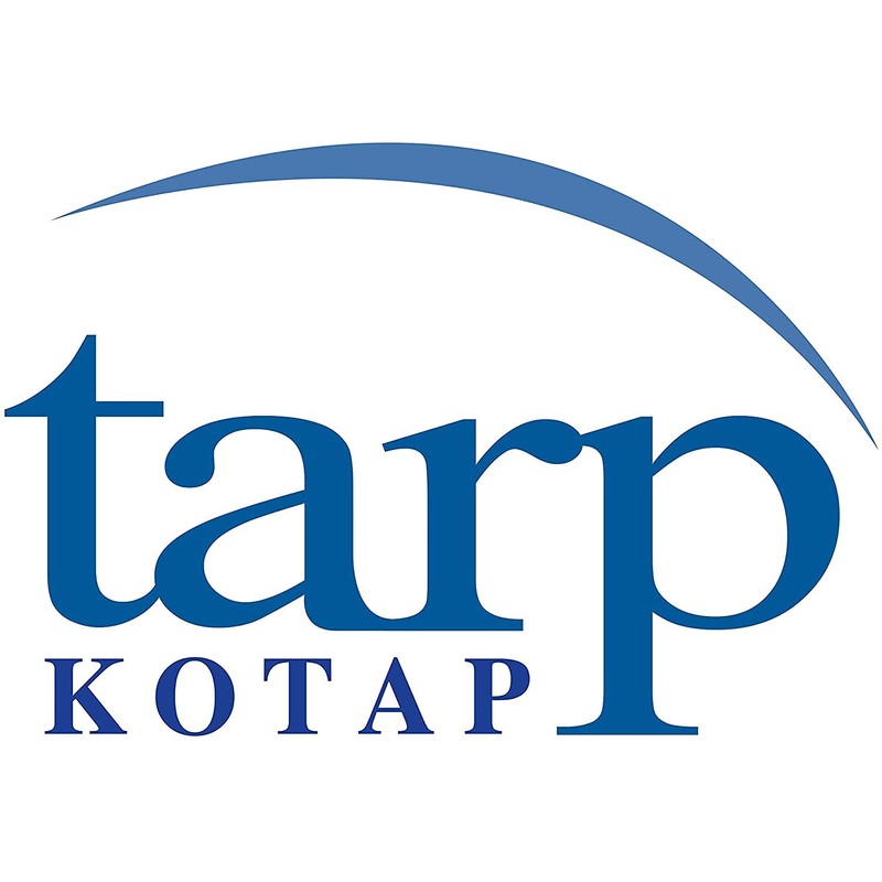 Kotap 14 x 14 Ft. Heavy-Duty Protection/Coverage Tarp, Superior Weave