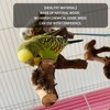 5PCS Bird Perch Stand Natural Wooden Parrot Stand Branch,3 Grape