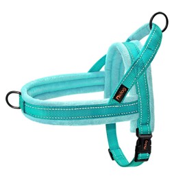 Didog Soft Flannel Padded Dog Vest Harness,Escape Proof/Quick Fit Reflective Dog Strap Harness, Easy for Training Walking(XS:Chest 15-18", Teal)