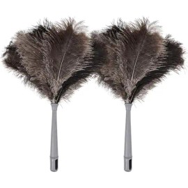 Retractable Feather Duster Ostrich Feathers Anti-Static Reusable Eco-Friendly Handheld Cleaning for Keyboard Home Car Officecolor: Style D - 2 Pcs