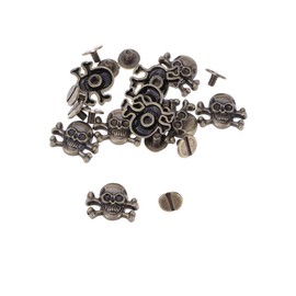 EXCEART 10 Pieces Skull Head Rivets Spikes Metal Screw Back Leather Punk Rivets for DIY Crafts Leather Supplies Purse Clothing Decor (Bronze)