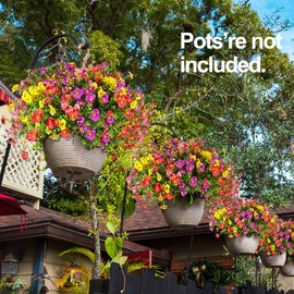 Artificial Flowers for Outdoors UV Resistant, 12 Bundles Faux Pansy for Hanging Basket Realistic, Fake Plants Silk Bulk for Indoor Home Décor Cemetery - Mixed Yellow HotPink Purple Red