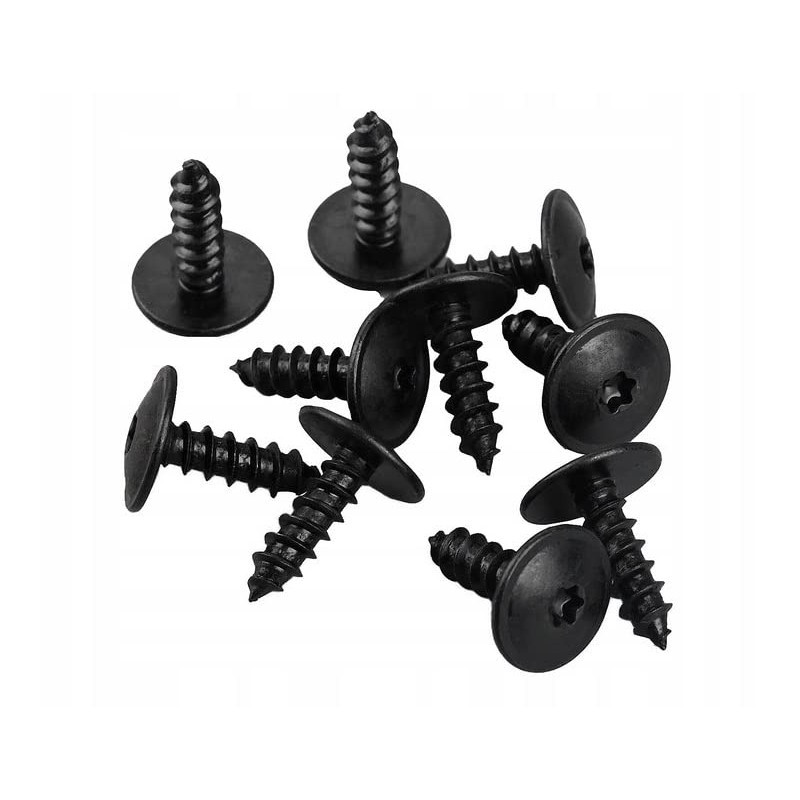 Twowinds - 10x Screws Torx TX25 5 x 16 x