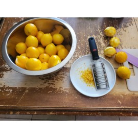 Tree 10 Meyer Lemon Seeds Organic 🍋 Freshly Harvested 01/25 Grown in Sunny Arizona.