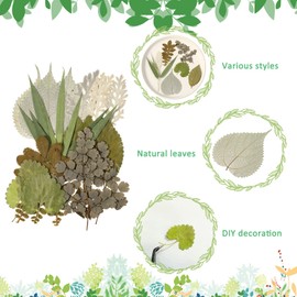 Timtin 84 Pieces Dried Pressed Leaves Flowers for Resin Mini Dried Flowers for Crafts Greenery Assorted for Art DIY Handmade Bookmarks 4 Bags(Vivid Style)